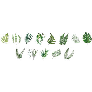  }XLOe[v 100 }Xe V[ XNbvubLO vg 킢 1 蒠fR R[W