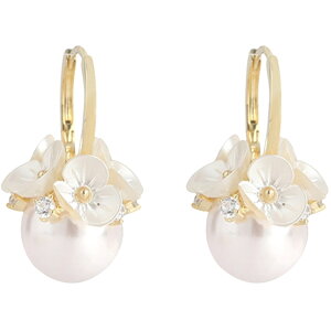  sAX t[vsAX p fB[X ANZT[ CXg[ tFCNp[ t[ ^ 킢 i 