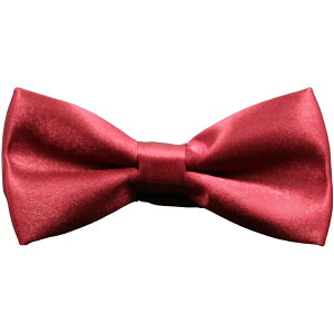 送料無料 蝶ネクタイ ボウタイ 子供用 ワンタッチ キッズ ジュニア ベビー 子ども ファッション小物 無地 シンプル ネクタイ セミバタフライ フック式 ストラップ バックル サイズ調節可 単