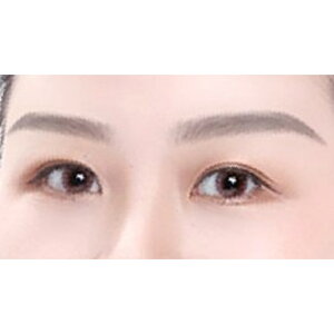  ACuEev[g  52Zbg V[ \ ߉\ ACu[ev[g уv[g pXeV   y ȒP Z  CNAbv CNpi