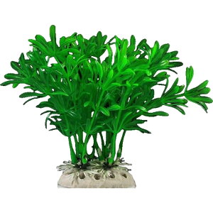  lH lHvc pCAEg yt  ANAEfR[V CeA ANZT[ IuWF I[ig pi CAEgpi ObY