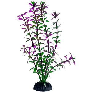  lH lHvc 20cm t pCAEg ANAEpi   CeA ANZT[ C~e[V 