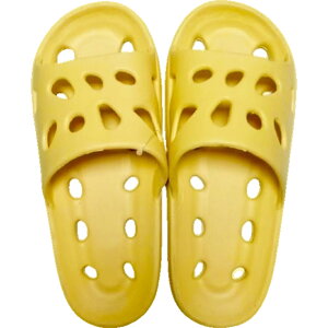  oXXbp pXbp V[T_ fB[X Y [V[Y x_T_  ʋC  h tbg  I[vgD n Vv