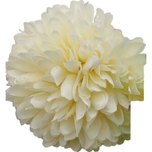   񂴂 Pi wAs Us wAANZT[ fB[X    ܂Ƃߔ t[  a a U ؂₩ 킢 Vv L[g  Jo