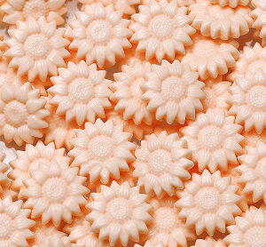  V[ObNX X V[OX^vpi 100Zbg   t[  Ђ܂  ҏ 莆