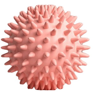  Xgb`{[ K{[ ؖ[X gQgQ tBbglX GNTTCY c{ w   ӂ͂   