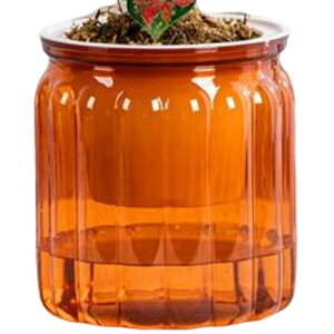 送料無料 植木鉢 自動給水 プランター 室内栽培 貯水槽付き フラワーポット 観葉植物 水やり おしゃれ シンプル プラスチック 無地 クリア 花 ハーブ 多肉植物 インテリア