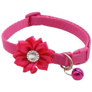   J[ p Lp ybgpi ^b`obN t t[ CXg[ ߉\   U o| Ckp lRp ybgObY