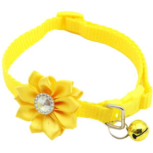   J[ p Lp ybgpi ^b`obN t t[ CXg[ ߉\   U o| Ckp lRp ybgObY