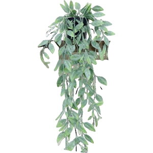  tFCNO[ lHϗtA    ݂艺 [t t   CeA Aؔ ͂Ȃ A  O rO  gC ʏ Q  