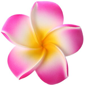  wANbv F2Zbg fB[X wAANZT[ t[  vA nCA 썑   wAAW  킢 ][g r[` t_