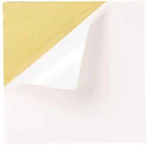  CV[g C V[Y Xj[J[ j  V[ pb` S  w CC ƃpbh \h ی Xj[J[ \邾 C JbgOK