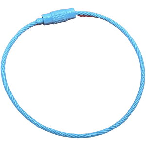  L[z_[ C[L[O C[O lW ˂  JM h~ h~ h~ ւ  p[c JoLx