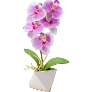   Ӓ R`E   A ~j|bg ~jA C~e[V tFCNt[  rO CeA IV Y ̓