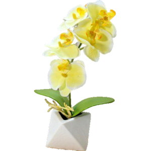   Ӓ R`E   A ~j|bg ~jA C~e[V tFCNt[  rO CeA IV Y ̓