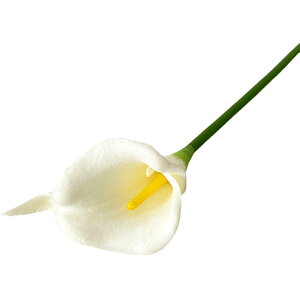   tFCNt[ lH lHt[  t[ ԑ  CeA t[AWg  ꂢ 킢