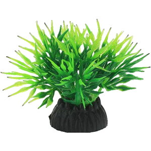  lH 3Zbg lHvc pCAEg yt  ANAEfR[V CeA ANZT[ IuWF I[ig pi CAEgpi 