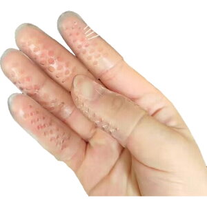  wT|[^[ 10Zbg wTbN wLbv wJo[ tBK[T|[^[  Lk VR Vv  w ی T|[^[ x[W   NA PF