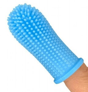  ybgpuV wTbN^ P[Xt  Ck   _炩  L ׋ۏ f^PA a\h oPA