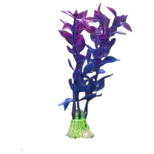  lH lHvc lHA vX`bN 10cm pA ANAE CAEg IuWF  I[ig ybgpi Mы ӏ܋