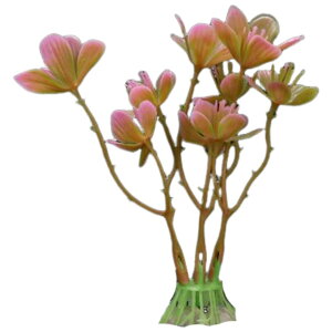  lH lHvc lHA vX`bN 10cm pA ANAE CAEg IuWF  I[ig ybgpi Mы ӏ܋