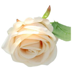   tFCNt[ Pi 1{ o t[AWg A[eBtBVt[ A[gtA[ ԏ  CeAG tHg ʐ^Be ̓ v[g Mt