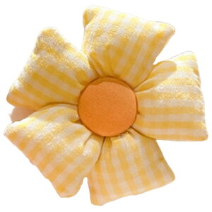  wAS LbY wAANZT[ S t[  `FbN 傫 Ԃ ڗ 킢  qp ̎q