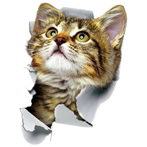 �������� �E�H�[���X�e�b�J�[ �ǃX�e�b�J�[ �ǎ��V�[�� ���V�[�� �V�[���� �L �L���b�g �q�L 3D �g���b�N�A�[�g�� ���܂��G�� �C���e���A�G�� DIY �͗l