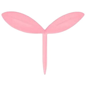  ubN}[N ubN}[J[  x V t [t A 킢 RpNg { ItBX Ǐ 蒠 v[g Mtg 蕨   G