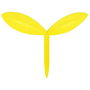  ubN}[N ubN}[J[  x V t [t A 킢 RpNg { ItBX Ǐ 蒠 v[g Mtg 蕨   G