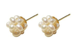  X^bhsAX ANZT[ fB[X p t@bV Wp[ GKg i  킢 tH[} p[eB[ w    v[g M