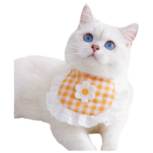  ybgpX^C ^ L ANZT[ 悾ꂩ ru XJ[t t [X  t[ `FbN 킢 