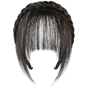 送料無料 前髪ウィッグ ポイントウィッグ 付け毛 かつら カチューシャ 三つ編み レディース 女性 婦人用 編み込み おしゃれ かわいい 触角 おくれ毛 イメージチェンジ ナチュラル キュート