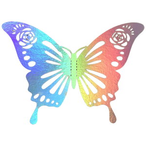  3DEH[XebJ[ EH[XebJ[ 12Zbg ʃe[vt e[vt  3D  X ǎV[ o^tC 傤 傤傤 ~[ I[ LL  