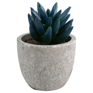  tFCNO[ lHϗtA A A ~j ^   sv C~e[V CeA p 