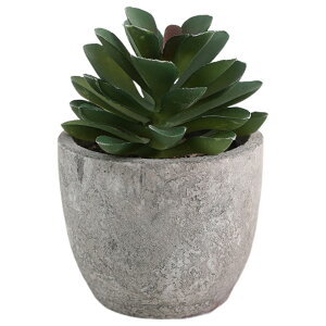  tFCNO[ lHϗtA A A ~j ^   sv C~e[V CeA p 