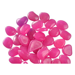    50Zbg ANAEpi p  ~   Mы  ԕr u  Jt Xg[  ꂢ  