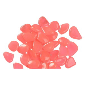    50Zbg ANAEpi p  ~   Mы  ԕr u  Jt Xg[  ꂢ  