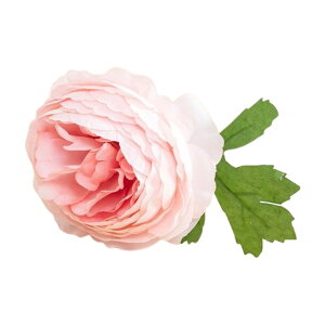    1{ sIj[ 䉖 VNN O {^ ԍ tFCNt[ lHϗtA CeA ԏ ͂Ȃ