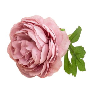    1{ sIj[ 䉖 VNN O {^ ԍ tFCNt[ lHϗtA CeA ԏ ͂Ȃ