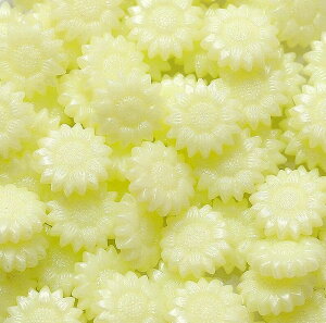  V[ObNX 100 X Ԍ` Ђ܂胂`[t  V[OX^vpi PF DIY X ҏ 莆 R[W A[g F ^bNF ~L[n