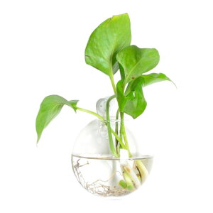  Ǌ|ԕr ԕr KX ݂艺 Ǌ| Aؔ ~` Ԍ` Op` t[x[X ֑} k͔| I  CeA 