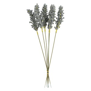   tFCNt[    t[ 1 6{ ԏ A[eBtBVt[ A[gt[ CeAG t[AWg lH ͂Ȃ j v[g