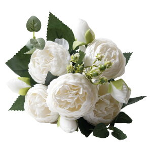   tFCNt[ 1 5֕ Pi t[AWg ԑ ͂Ȃ ԏ  DIY CeAG KN o O {^ ؂₩ t[ hCt[   