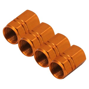  GAouLbv ^CouLbv 4Zbg GA[ou ԗpi J[pi ouJo[ LbvJo[ Op[c ubN  JX^ AW  