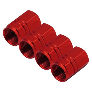  GAouLbv ^CouLbv 4Zbg GA[ou ԗpi J[pi ouJo[ LbvJo[ Op[c ubN  JX^ AW  