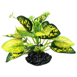  lHvc lH ANAEpi   Ϗ܋ Mы ঒ B tFCNO[ ybgpi ϗtA