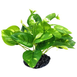  lHvc lH ANAEpi   Ϗ܋ Mы ঒ B tFCNO[ ybgpi ϗtA