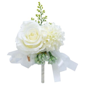  u[gjA uC_   tFCNt[ Nbv s |Pbg RT[W 킢 ꂢ  tH[} EFfBO j  ɂ