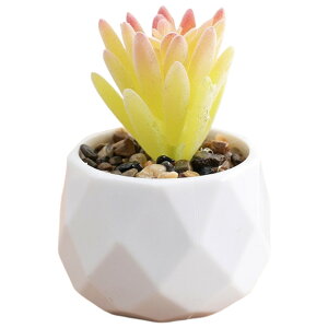  tFCNO[  CeAG u   A ^  p O[ sN CG[  L[g  i` {^jJ